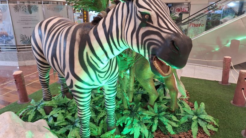 77e14929425579b5f132a708890199b7