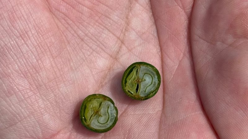 WhatsApp-Image-2025-03-06-at-09.01.26