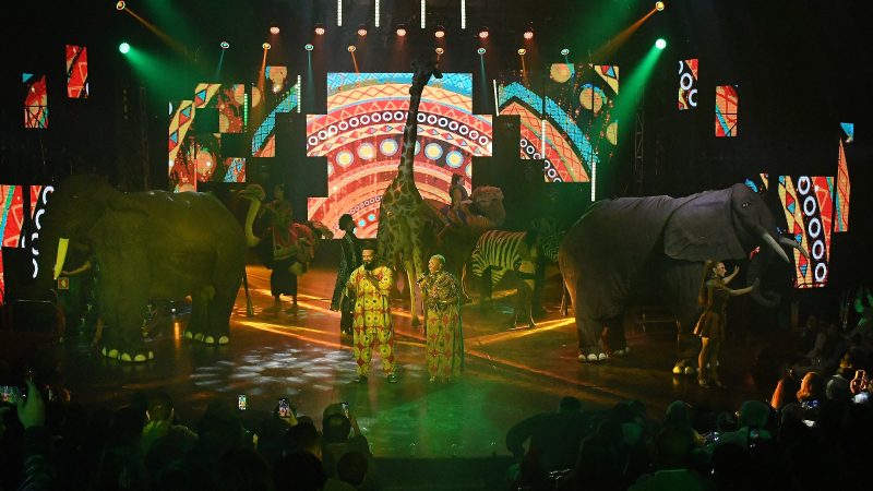 WhatsApp-Image-2025-05-12-at-18.11.41