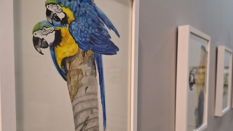 WhatsApp-Image-2025-06-16-at-14.33.13