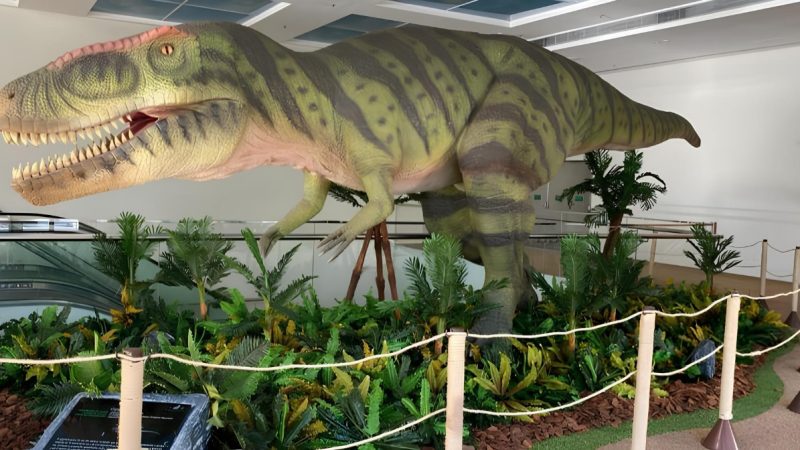 WhatsApp-Image-2025-06-17-at-11.39.14