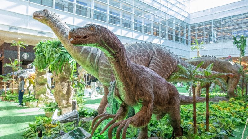 WhatsApp-Image-2025-08-12-at-10.03.52