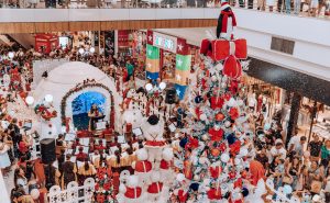 WhatsApp-Image-2025-12-03-at-13.44.52-1