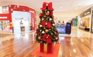 WhatsApp-Image-2026-01-02-at-16.13.20