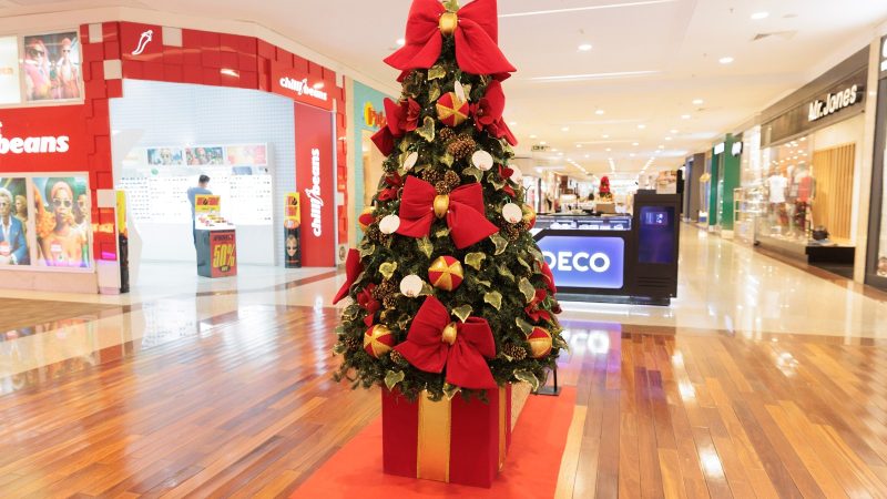 WhatsApp-Image-2026-01-02-at-16.13.20