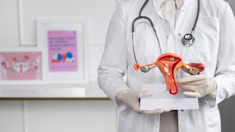 WhatsApp-Image-2026-01-06-at-09.41.22