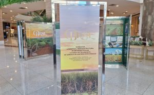 WhatsApp-Image-2026-04-23-at-14.43.03