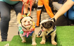 ab2bef1ae13c1ad943f8af28e0981179