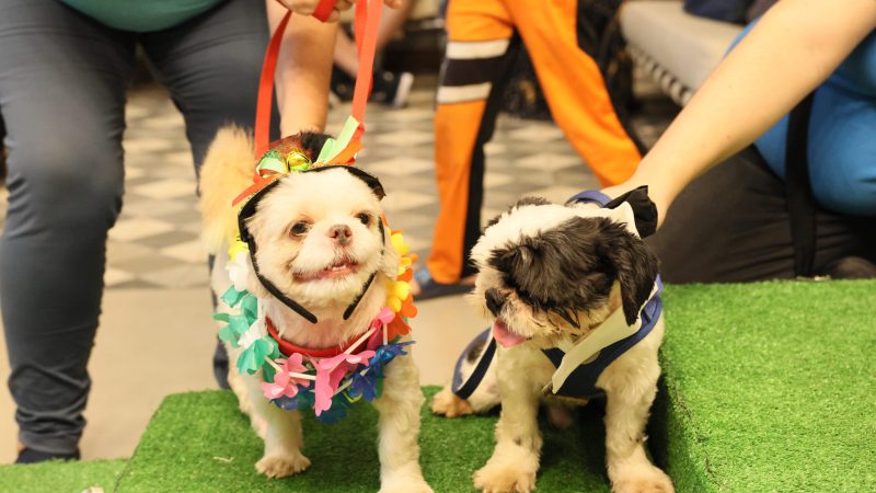 ab2bef1ae13c1ad943f8af28e0981179