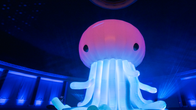 foto-siga-flutuando-pow